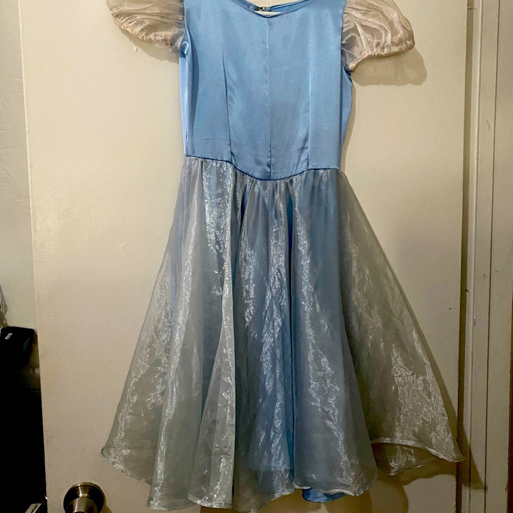 Cinderella Dress up 7/8